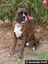 190820071317a 190820071317a