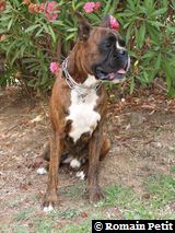 190820071317b 190820071317b