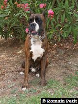 190820071317c 190820071317c