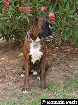 190820071317e 190820071317e