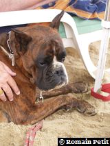 190820071336a 190820071336a