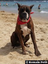 190820071341b 190820071341b