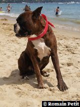 190820071341d 190820071341d