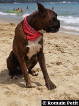 190820071341e 190820071341e