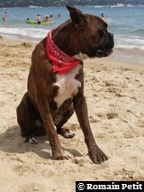 190820071341f 190820071341f