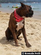 190820071341g 190820071341g