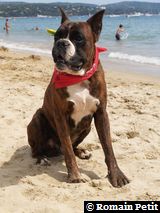 190820071341h 190820071341h