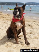 190820071341i 190820071341i