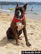 190820071341j 190820071341j