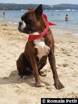 190820071341k 190820071341k