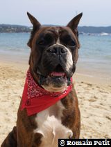 190820071342p 190820071342p