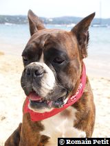 190820071342q 190820071342q