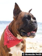 190820071343g 190820071343g