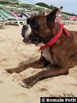 190820071350n 190820071350n