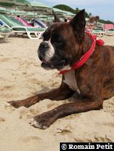 190820071350o 190820071350o