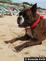 190820071350p 190820071350p