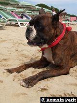 190820071350q 190820071350q