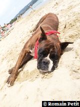 190820071351b 190820071351b