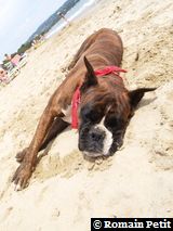 190820071351c 190820071351c