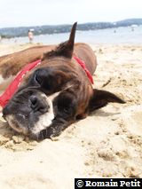 190820071351f 190820071351f