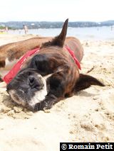 190820071351g 190820071351g