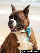 120820081329g 120820081329g