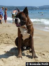 2009-08-12_13-16-58 2009-08-12_13-16-58