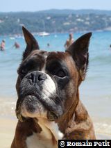 2009-08-12_13-17-08 2009-08-12_13-17-08