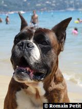 2009-08-12_13-17-14 2009-08-12_13-17-14