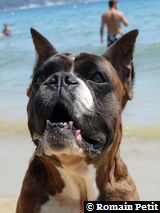 2009-08-12_13-17-20 2009-08-12_13-17-20