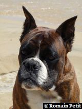 2009-08-12_13-17-25 2009-08-12_13-17-25