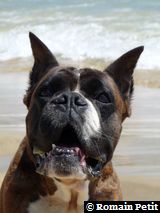 2009-08-12_13-17-29 2009-08-12_13-17-29