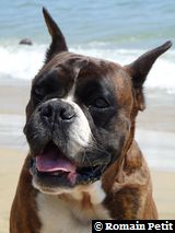 2009-08-12_13-17-37 2009-08-12_13-17-37