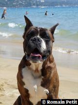 2009-08-12_13-17-56 2009-08-12_13-17-56