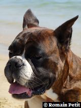 2009-08-12_13-18-24 2009-08-12_13-18-24