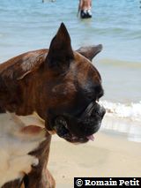 2009-08-12_13-18-48 2009-08-12_13-18-48