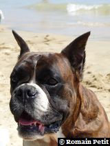 2009-08-12_13-19-09 2009-08-12_13-19-09