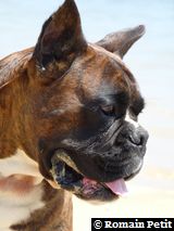 2009-08-12_13-21-38 2009-08-12_13-21-38