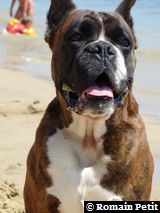 2009-08-12_13-22-31 2009-08-12_13-22-31