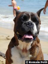 2009-08-12_13-22-46 2009-08-12_13-22-46