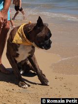 070820101328b 070820101328b