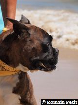 070820101329a 070820101329a