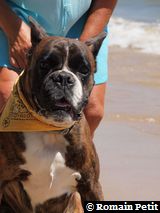 070820101329b 070820101329b