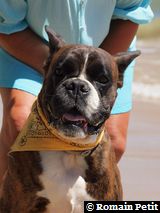 070820101329c 070820101329c