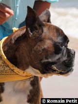 070820101329d 070820101329d