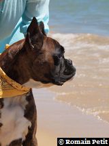 070820101329e 070820101329e