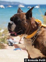 070820101333d 070820101333d