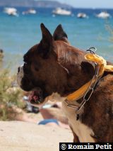 070820101333e 070820101333e