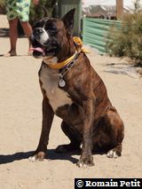 070820101334a 070820101334a