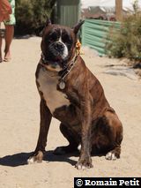 070820101334b 070820101334b